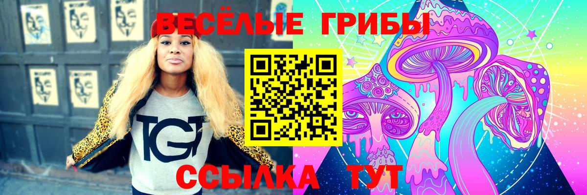 Галлюциногенные грибы Magic Shrooms Нижний Новгород